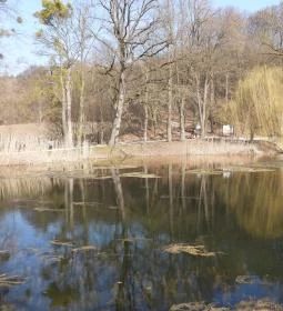 Borostyán-kút kápolna