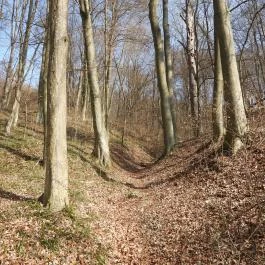 Borostyán-kút kápolna Bakonybél - Egyéb