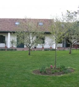 Borostyán Vendégház