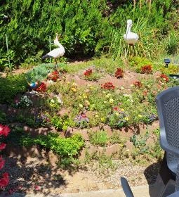 Borostyán Vendéglő