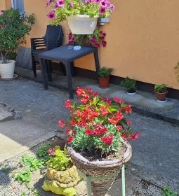 Borostyán Vendéglő