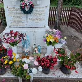 Borzaspusztai kápolnarom Bugyi - Egyéb