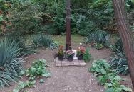 Borzaspusztai kápolnarom Bugyi