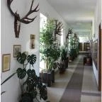 Bőszénfai Szarvasfarm Bőszénfa - 