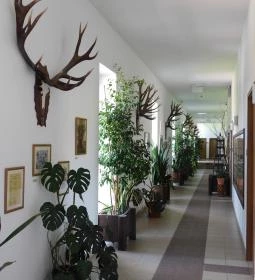 Bőszénfai Szarvasfarm