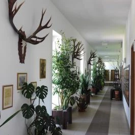 Bőszénfai Szarvasfarm, Bőszénfa - 