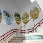 Bőszénfai Szarvasfarm Bőszénfa - 