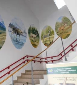 Bőszénfai Szarvasfarm