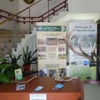 Bőszénfai Szarvasfarm Bőszénfa - 