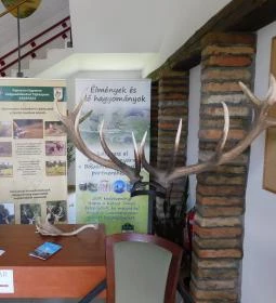 Bőszénfai Szarvasfarm