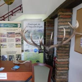 Bőszénfai Szarvasfarm, Bőszénfa - 