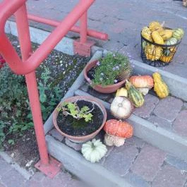 Bőszénfai Szarvasfarm, Bőszénfa - 