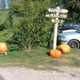 Bőszénfai Szarvasfarm, Bőszénfa - 