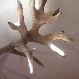 Bőszénfai Szarvasfarm, Bőszénfa - 