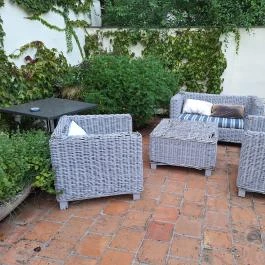 Botanica Étterem, Dánszentmiklós - Egyéb