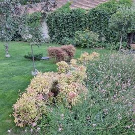 Botanica Étterem Dánszentmiklós - Külső kép