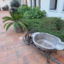 Botanica Étterem, Dánszentmiklós - Külső kép