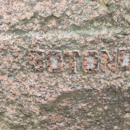 Botond Bicske - Egyéb