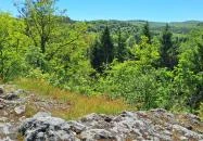 Bózsvai-szikla Bózsva