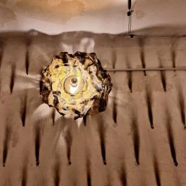 Brutål, Budapest - Egyéb