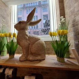 Bubci Café Budapest - Egyéb