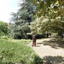 Budai Arborétum Budapest - Külső kép