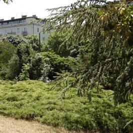 Budai Arborétum Budapest - Külső kép