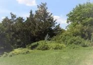 Budai Arborétum Budapest