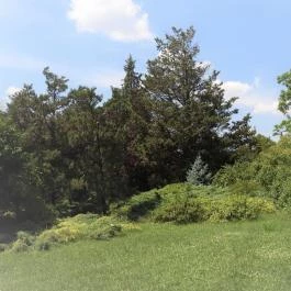 Budai Arborétum Budapest - Külső kép