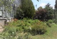 Budai Arborétum Budapest