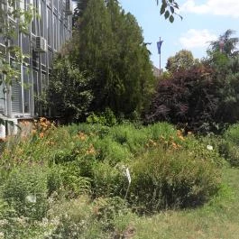 Budai Arborétum Budapest - Külső kép