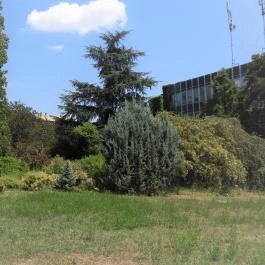 Budai Arborétum Budapest - Külső kép