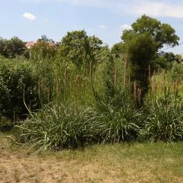 Budai Arborétum Budapest - Külső kép