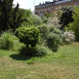 Budai Arborétum Budapest - Külső kép
