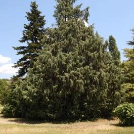 Budai Arborétum Budapest - Külső kép