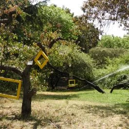 Budai Arborétum Budapest - Külső kép