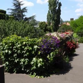 Budai Arborétum Budapest - Külső kép