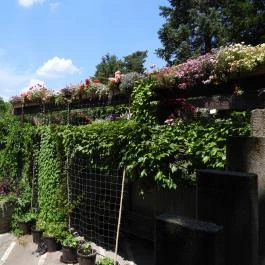 Budai Arborétum Budapest - Külső kép