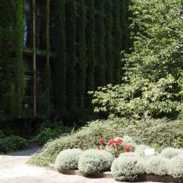 Budai Arborétum Budapest - Külső kép