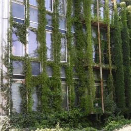 Budai Arborétum Budapest - Külső kép