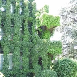 Budai Arborétum Budapest - Külső kép