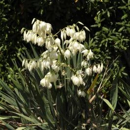 Budai Arborétum Budapest - Külső kép