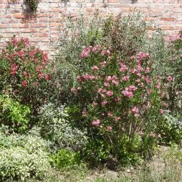 Budai Arborétum Budapest - Külső kép