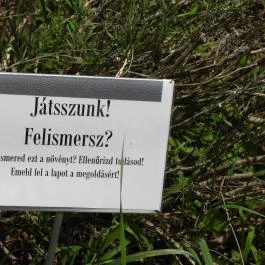 Budai Arborétum Budapest - Egyéb