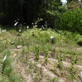 Budai Arborétum Budapest - Külső kép