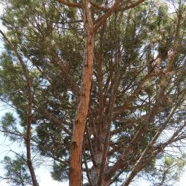 Budai Arborétum Budapest - Külső kép