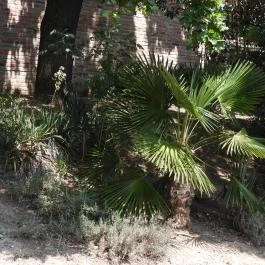 Budai Arborétum Budapest - Külső kép