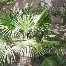 Budai Arborétum Budapest - Külső kép