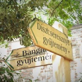 Budai Arborétum Budapest - Egyéb