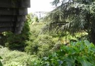 Budai Arborétum Budapest